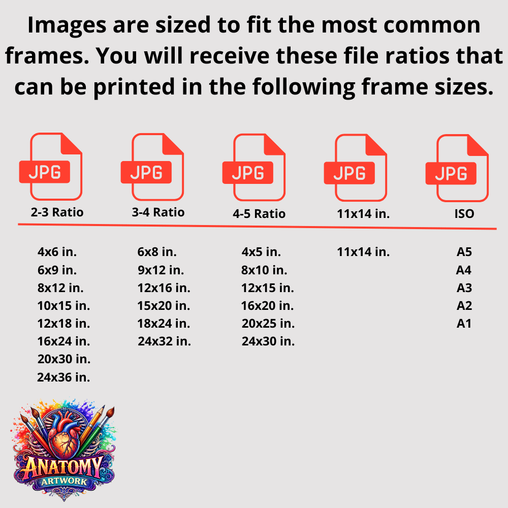Multi-Color Splash PE Anatomy Art