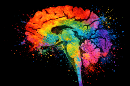 Multi-Color Splash Brain Anatomy Art - Black Background