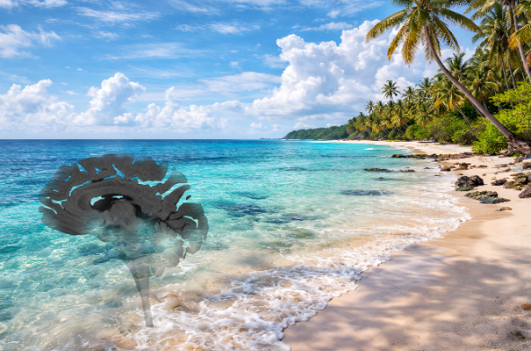 Tropical Hidden Brain Anatomy Art