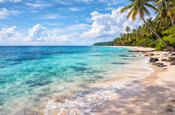 Tropical Hidden Brain Anatomy Art